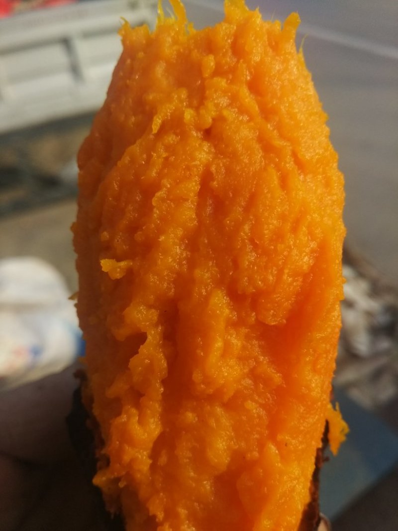 西瓜红，长条型，个头匀和，烤薯佳品，甜，糯，香，