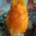 西瓜红，长条型，个头匀和，烤薯佳品，甜，糯，香，