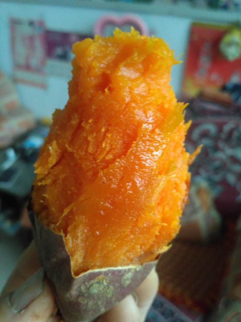 西瓜红，长条型，个头匀和，烤薯佳品，甜，糯，香，