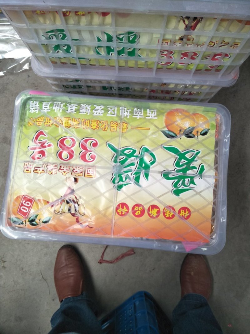 四川眉山爱媛果冻橙，，大量上市，需要的的老板可以定货了，