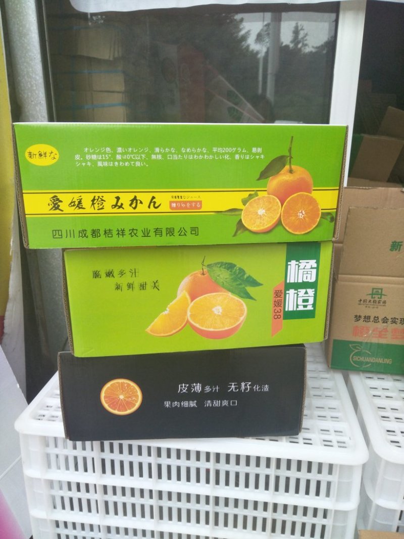 四川眉山爱媛果冻橙，，大量上市，需要的的老板可以定货了，