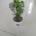 塑料花盆