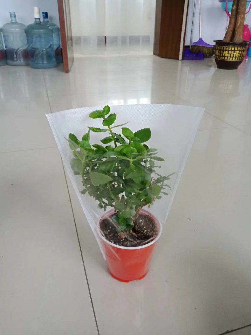 塑料花盆
