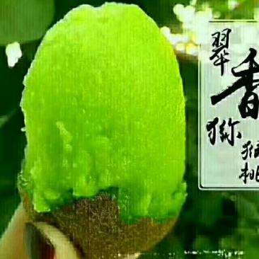 翠香猕猴翠香猕猴桃