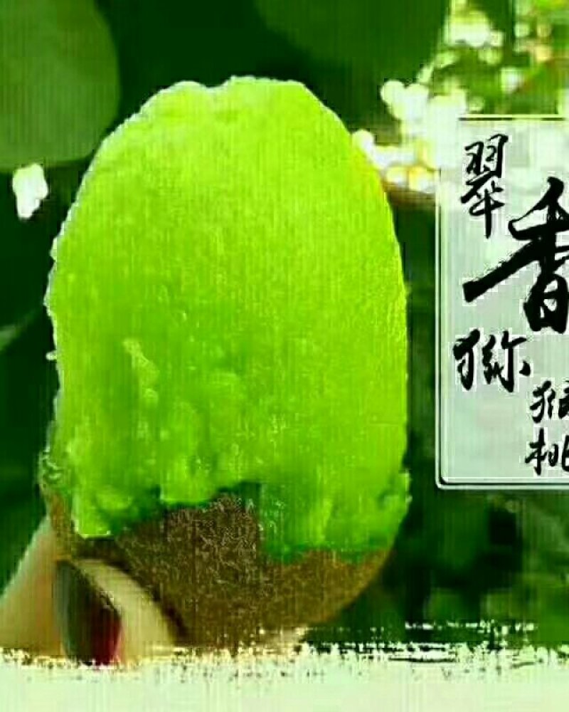 翠香猕猴翠香猕猴桃