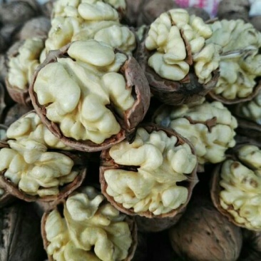清香核桃25~30mm去皮湿