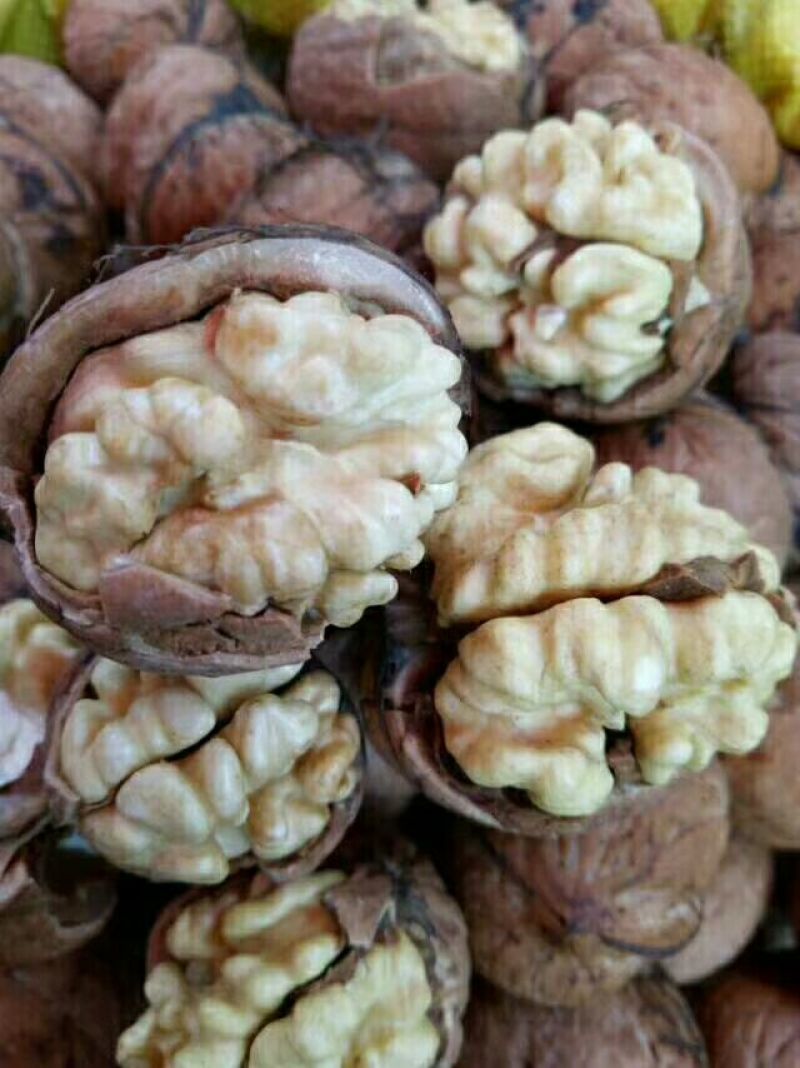 清香核桃25~30mm去皮湿