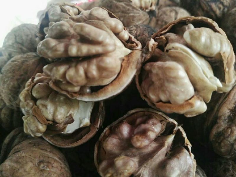 清香核桃25~30mm去皮湿