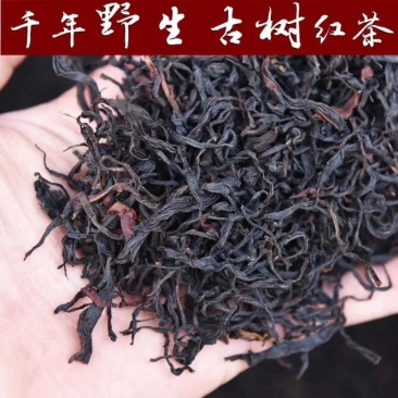 古树红茶云南古树红茶古树茶量大从优