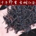 古树红茶云南古树红茶古树茶量大从优