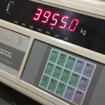 金韩南瓜，