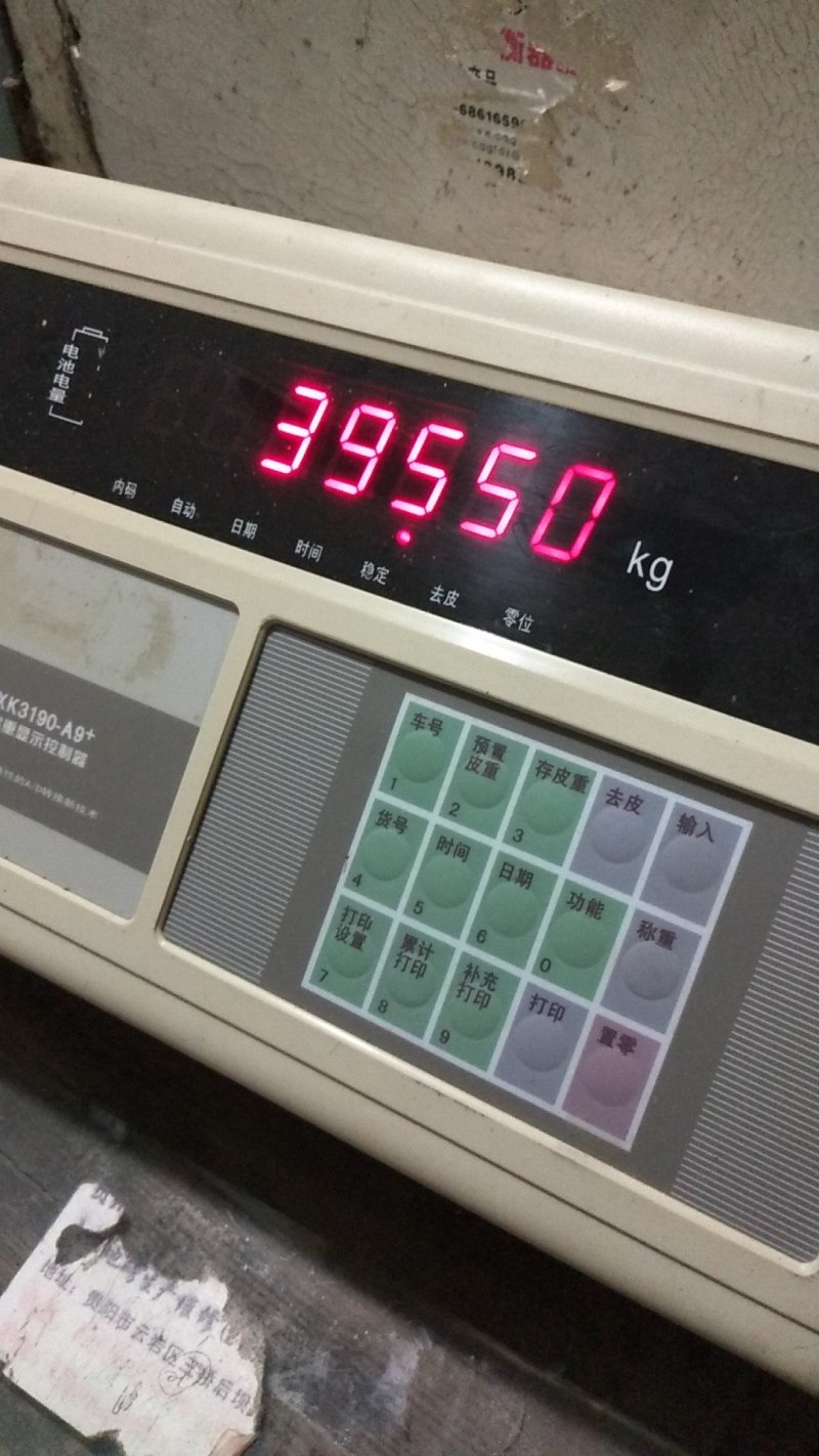 金韩南瓜，