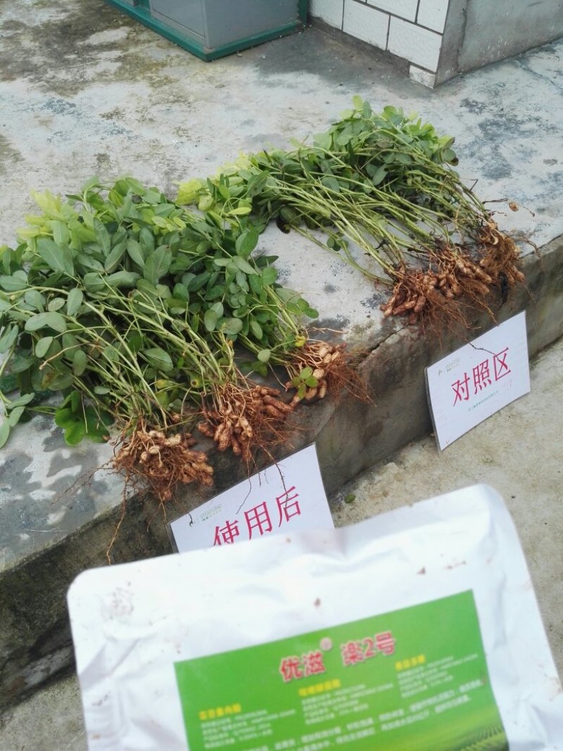 优滋乐