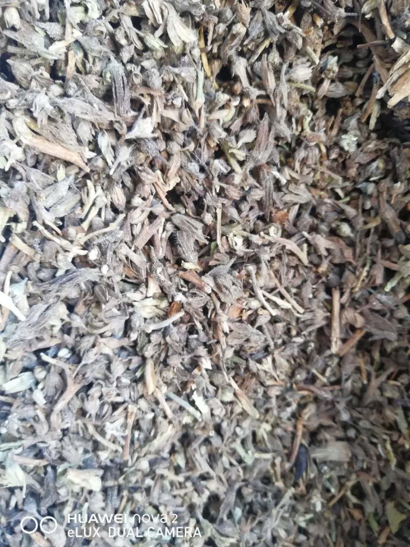 紫草
