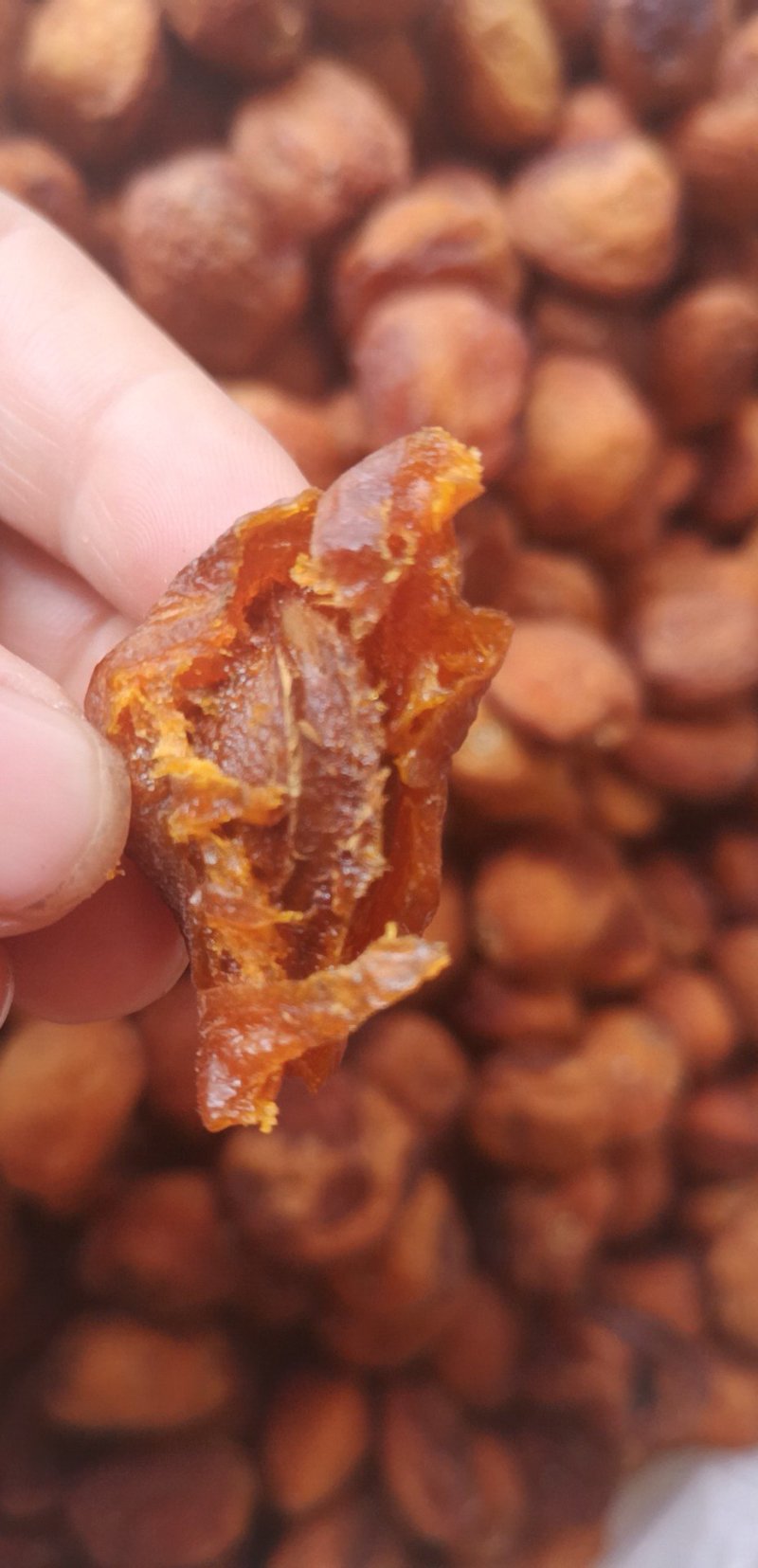 新货吊干杏杏干上市产地直发，欢迎对接，量大价低