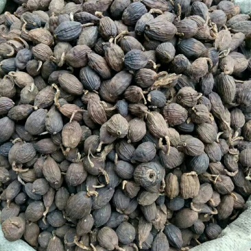 草果，大茴八角良姜陈皮花椒白芷草果等百余种香辛料产地直销