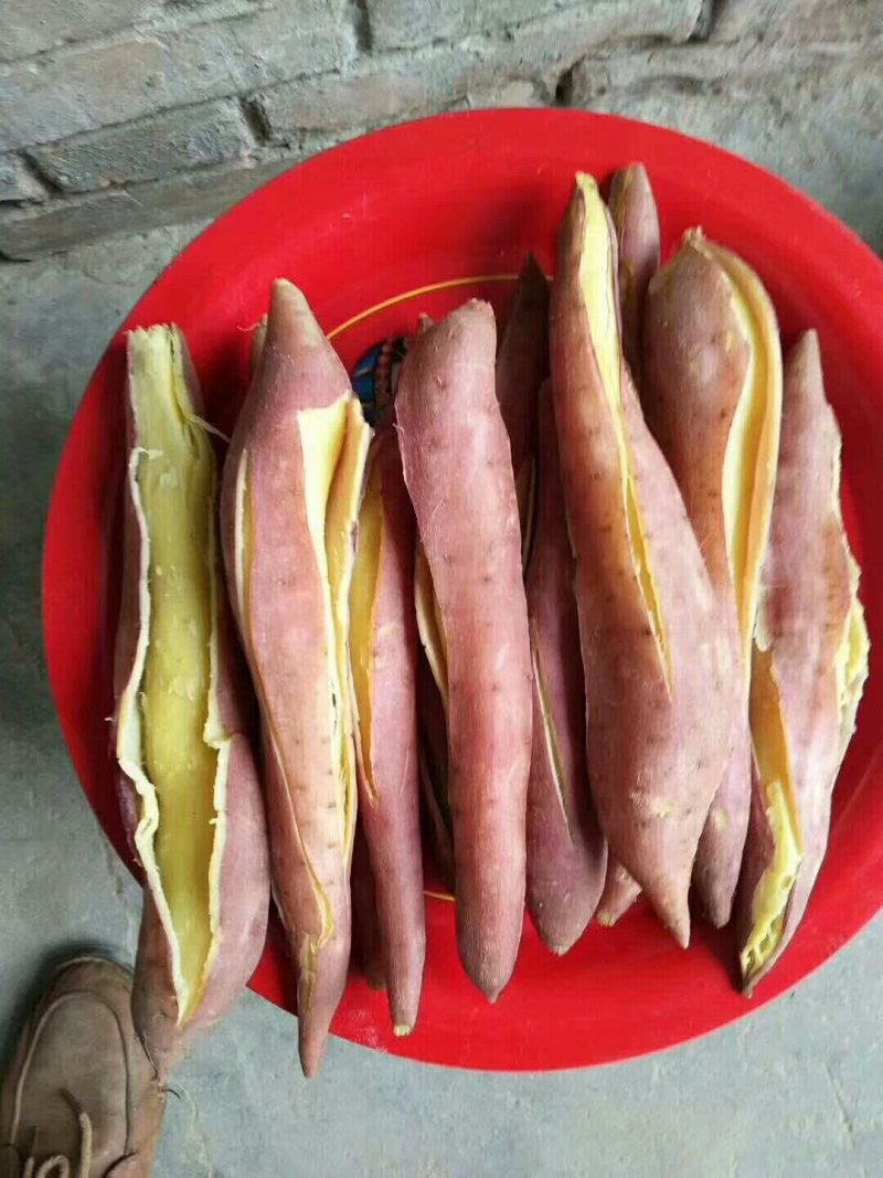 🎺🎺🎺好消息好消息🎆它不是木薯，却有着木薯的身材