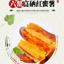 六鳌红蜜薯（大叶红）