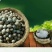 桂花雀芦丁鸡种蛋成活率高提供养殖技术量大从优