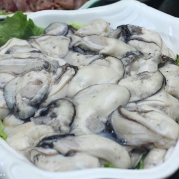 海蛎子
