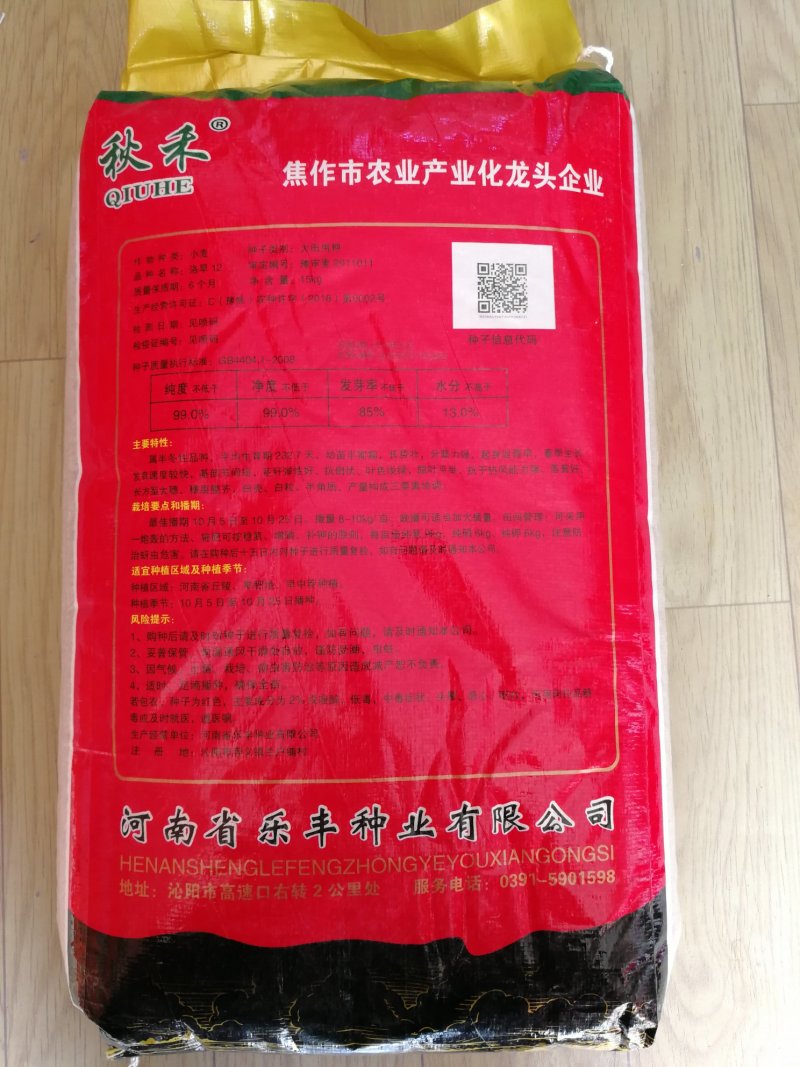 洛旱12旱地大田小麦品种高产容重高抗病好