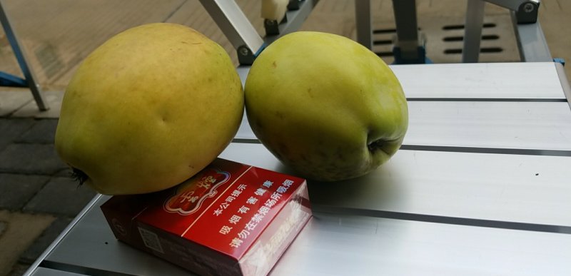 酸木瓜