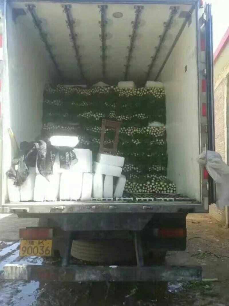 西芹