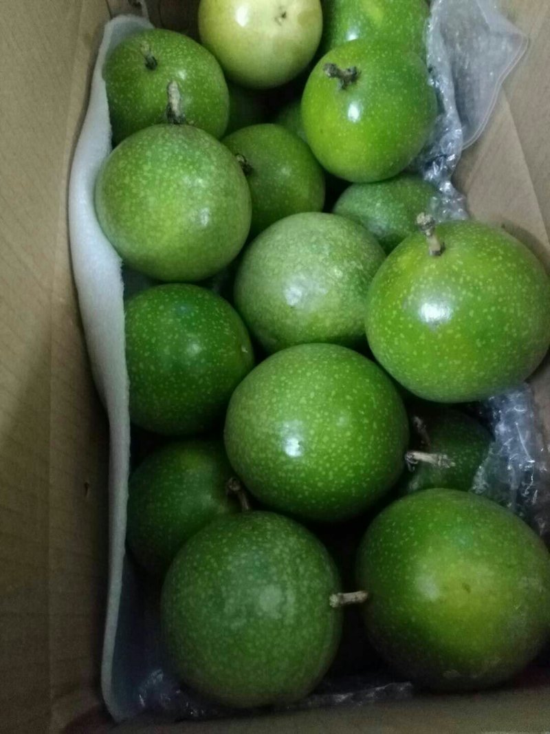黄金百香果