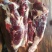正宗旌德高山放养黄牛腿肉