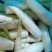 高山茭白