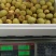 冬枣