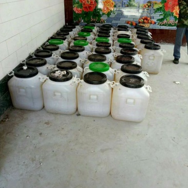 天然蜂蜜，百花蜜，洋槐蜜，枣花蜜