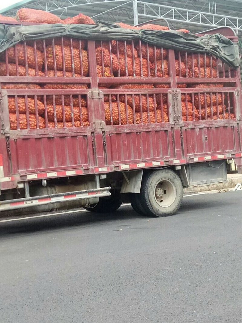 剌梨