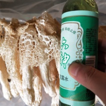 竹荪