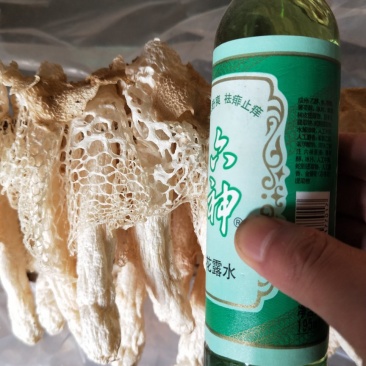 竹荪