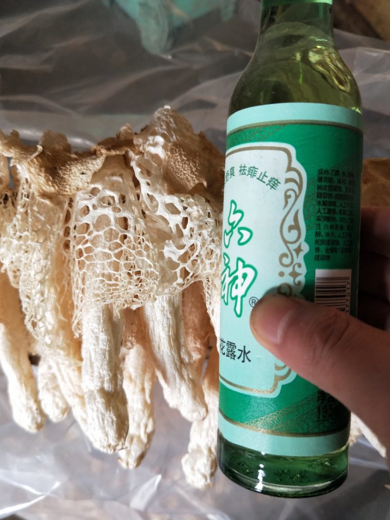 竹荪