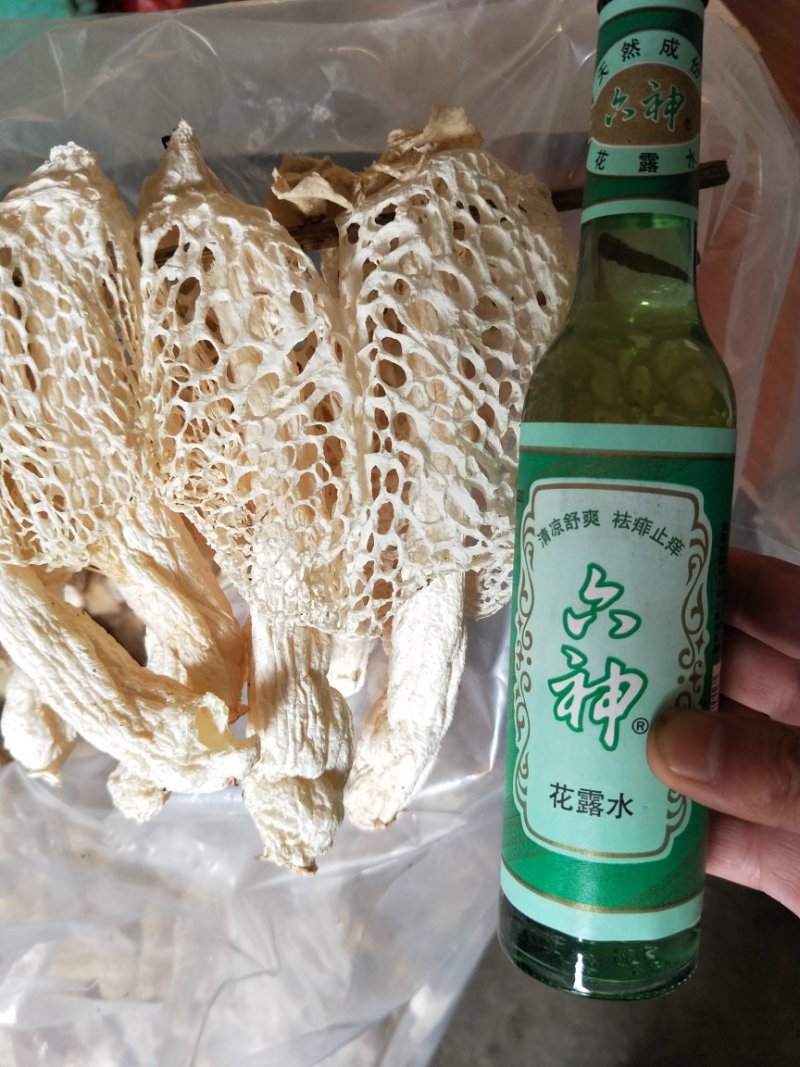 竹荪