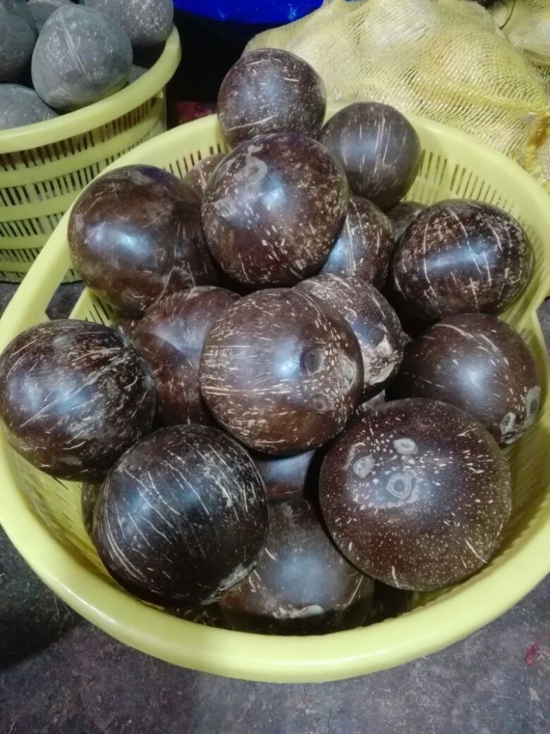 新鲜椰皇热销中，亲们有意向的赶紧吧