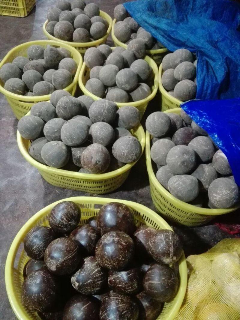 新鲜椰皇热销中，亲们有意向的赶紧吧