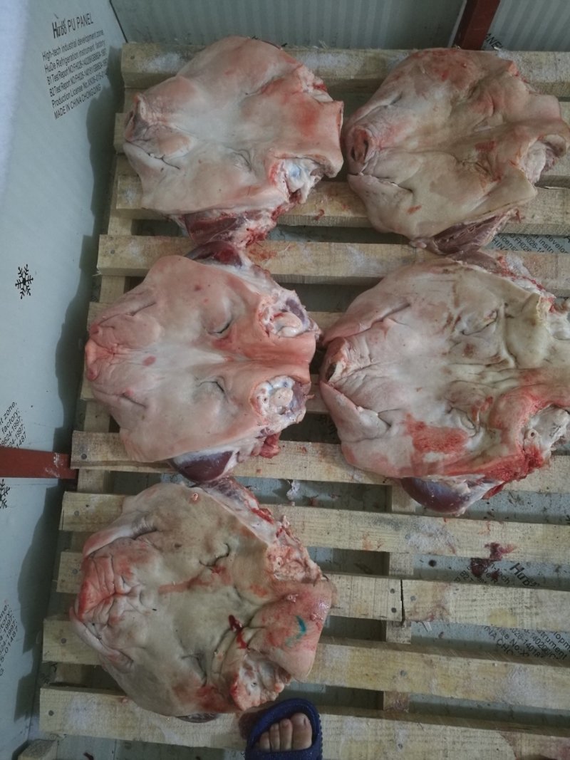 猪头肉