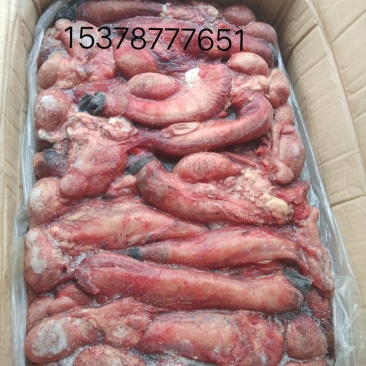 驴副产品驴肉驴板肠腱子驴鞭驴皮驴肚驴口条