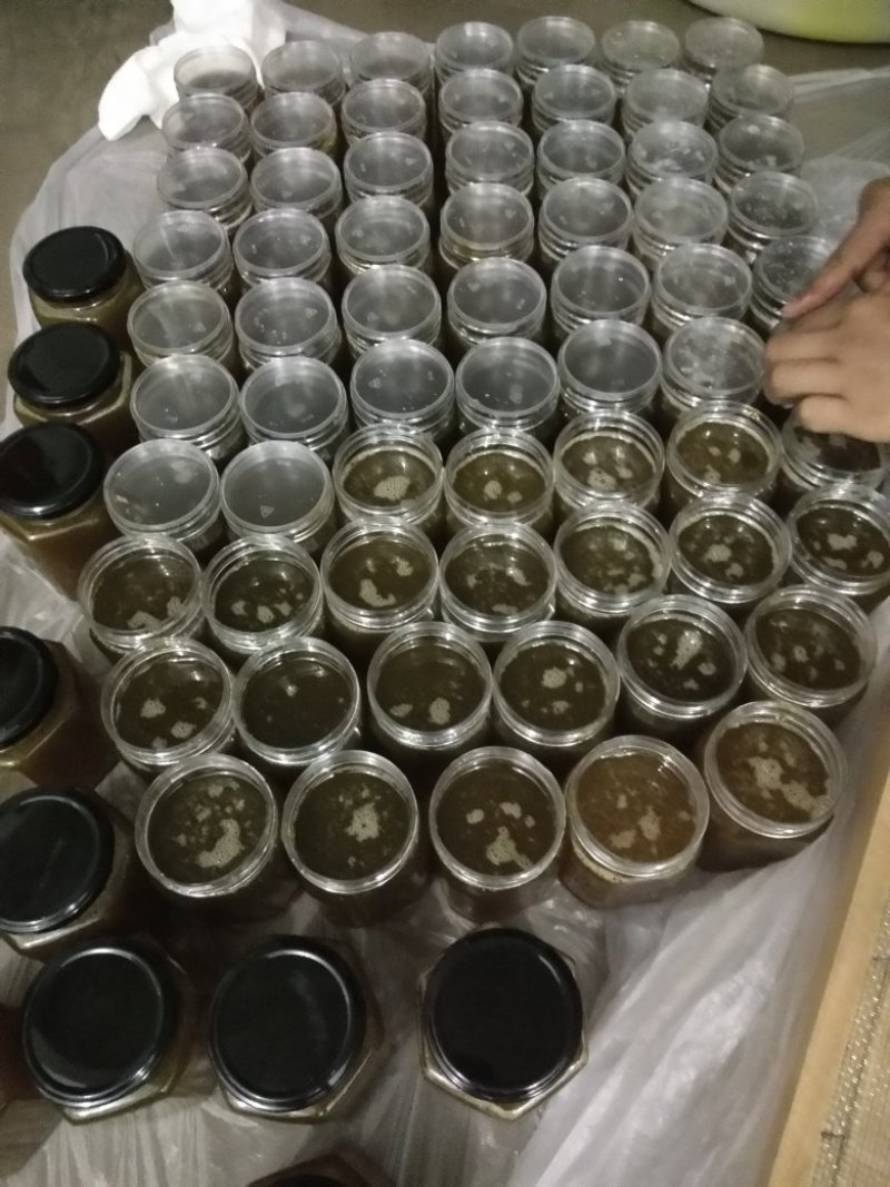 原生态土蜂蜜，乌蒙馨蜜