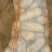 精品土豆薯行颜色一流