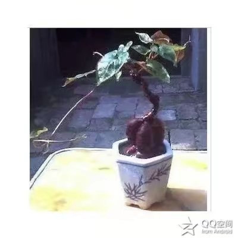 来电