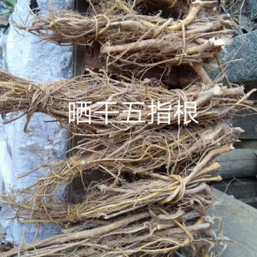 来电