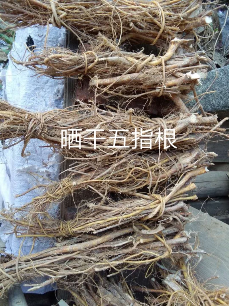 来电