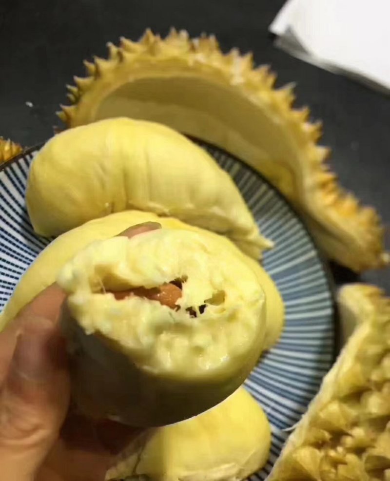 纯泰国金枕骆驼牌榴莲