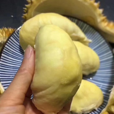 纯泰国金枕骆驼牌榴莲