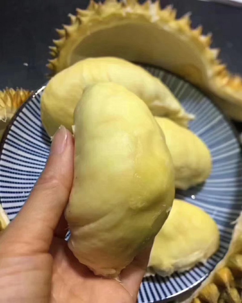 纯泰国金枕骆驼牌榴莲