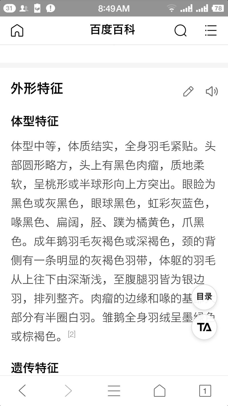雁鹅